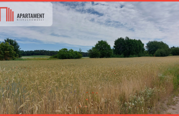 Działka z warunkami zabudowy - 200m od lustra wody