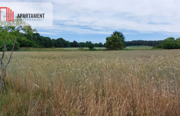 Działka z warunkami zabudowy - 200m od lustra wody