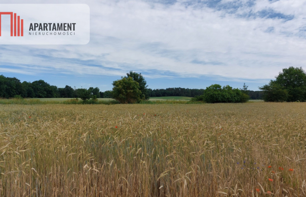 Działka z warunkami zabudowy - 200m od lustra wody