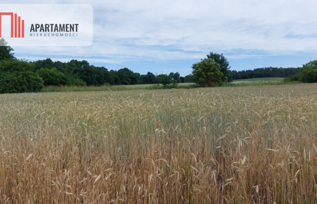 Działka z warunkami zabudowy - 200m od lustra wody