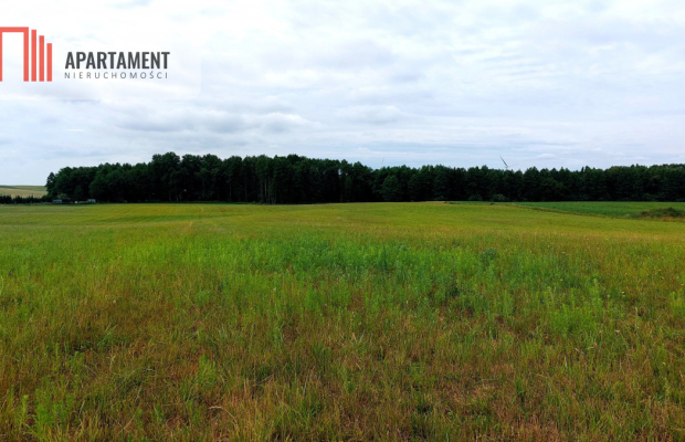 Działki budowlane Witunia, Piękna okolica. 