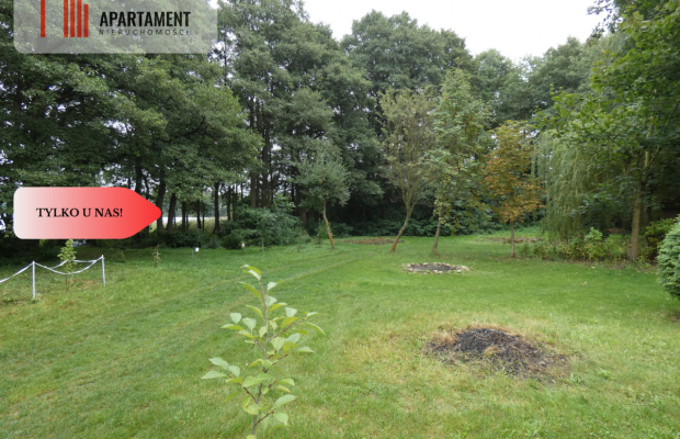 Działka z linią brzegową nad jeziorem Ostrowickim