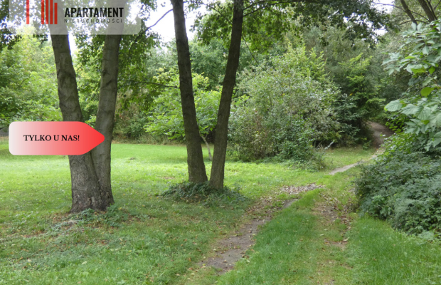 Działka z linią brzegową nad jeziorem Ostrowickim