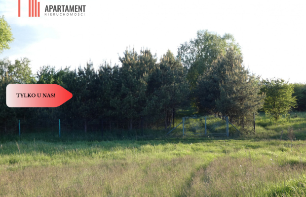 Duża działka z linią brzegową jeziora