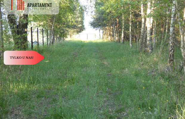 Duża działka z linią brzegową jeziora