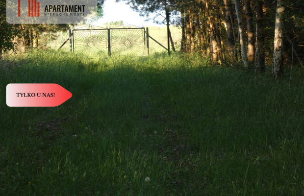 Duża działka z linią brzegową jeziora