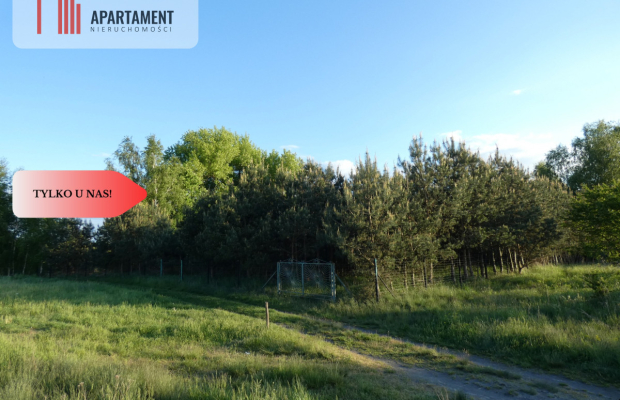 Duża działka z linią brzegową jeziora