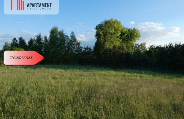 Duża działka z linią brzegową jeziora