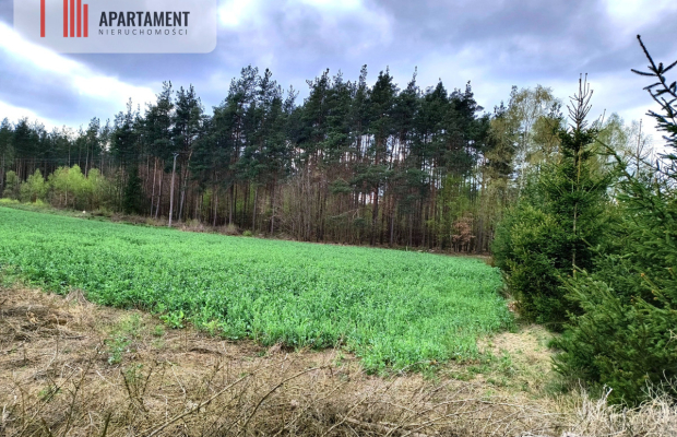 Piękna działka przy samym lesie !!!