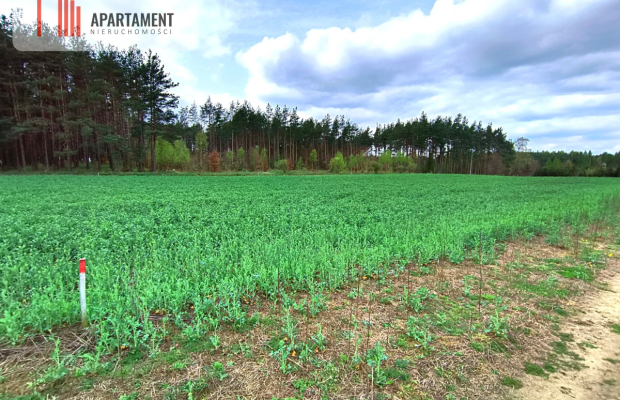 Piękna działka przy samym lesie !!!