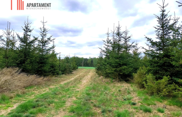 Piękna działka przy samym lesie !!!