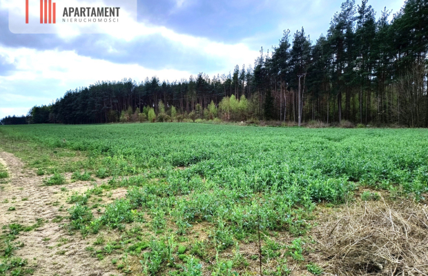 Piękna działka przy samym lesie !!!