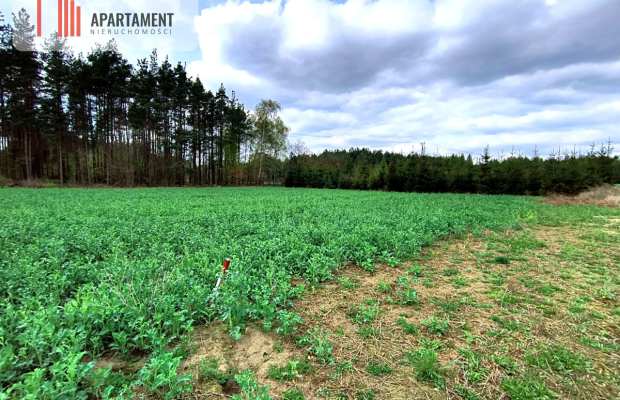 Piękna działka przy samym lesie !!!