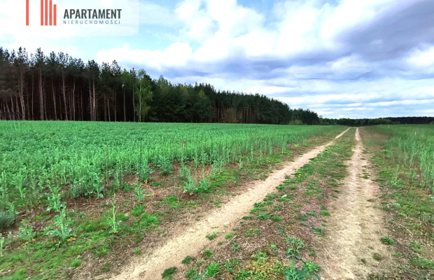 Piękna działka przy samym lesie !!!