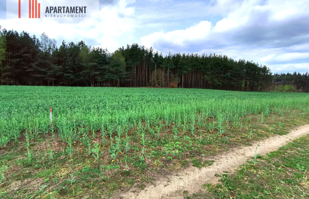 Piękna działka przy samym lesie !!!