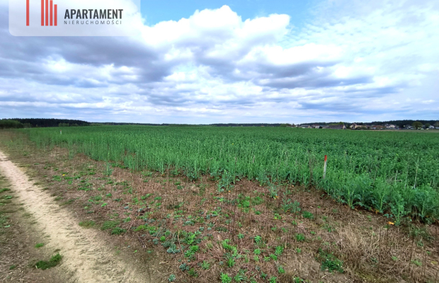 Piękna działka przy samym lesie !!!