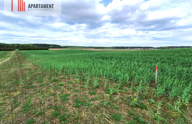 Piękna działka przy samym lesie !!!