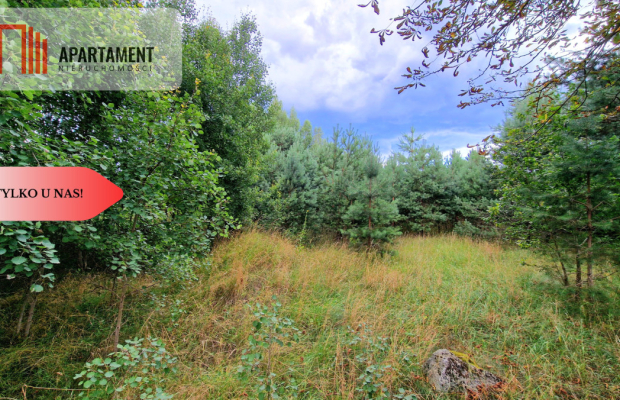 Tylko u Nas! Działka 800 metrów od jeziora! Tleń!