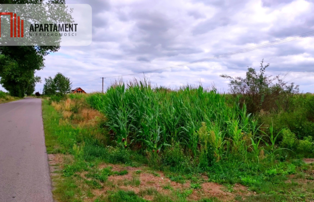 Urocza działka niedaleko Złotnik Kujawskich!