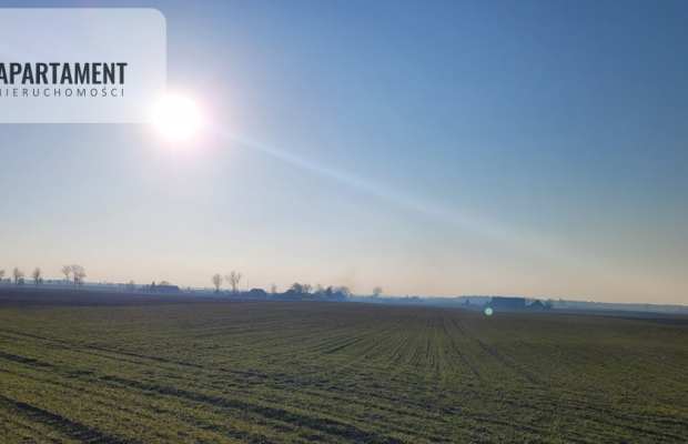 Urocza działka niedaleko Złotnik Kujawskich!