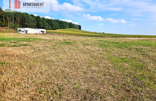 Działka budowlana 981m2 Smogorzewo