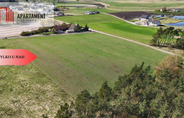 Działka z WZ ze ścianą lasu