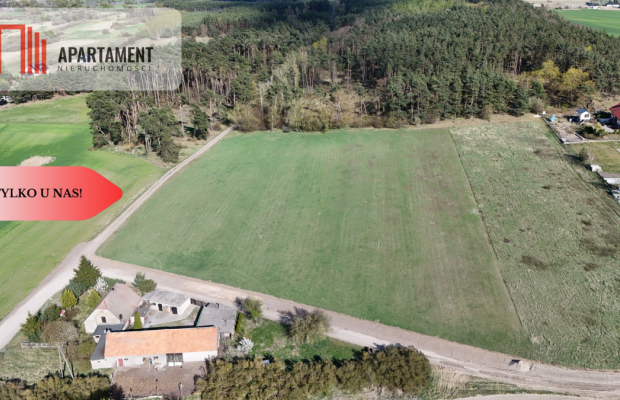 Działka z WZ ze ścianą lasu