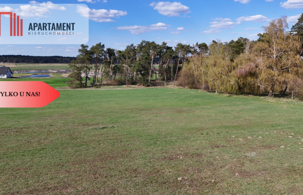 Działka z WZ ze ścianą lasu