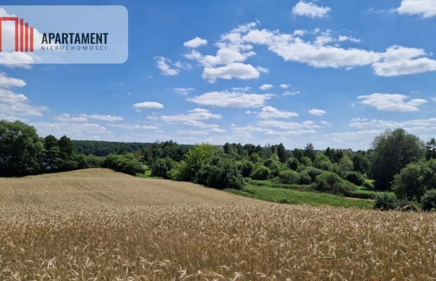 Duża działka nad jeziorem Ostrówieckim.