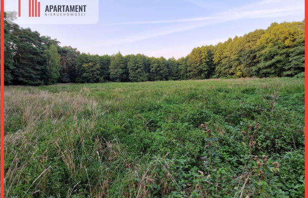Duża działka przy lesie bez sąsiedztwa