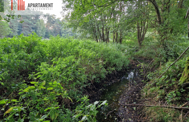 Duża działka przy lesie bez sąsiedztwa