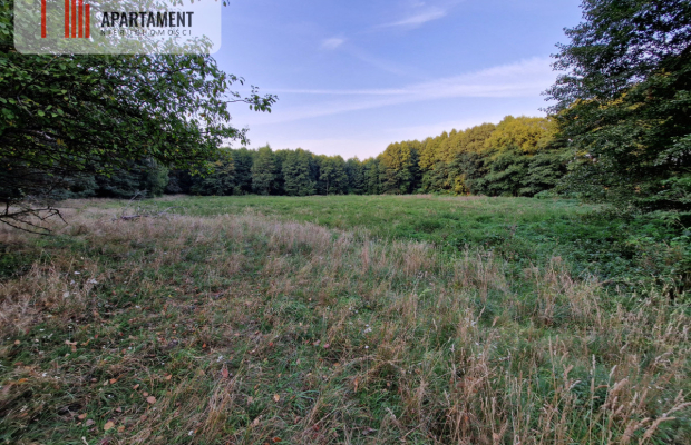 Duża działka przy lesie bez sąsiedztwa