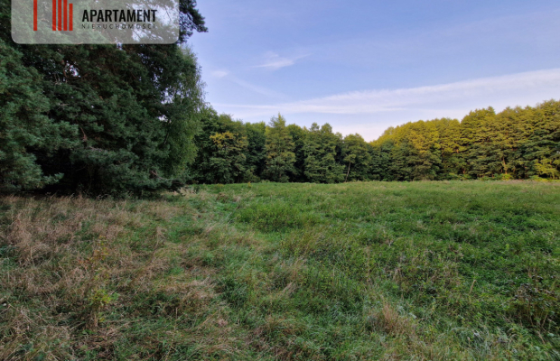 Duża działka przy lesie bez sąsiedztwa