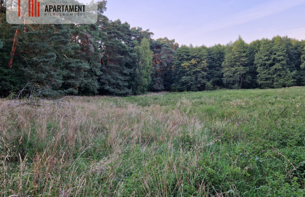 Duża działka przy lesie bez sąsiedztwa