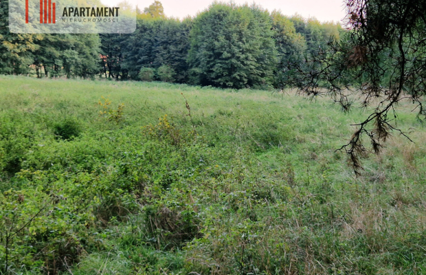 Duża działka przy lesie bez sąsiedztwa