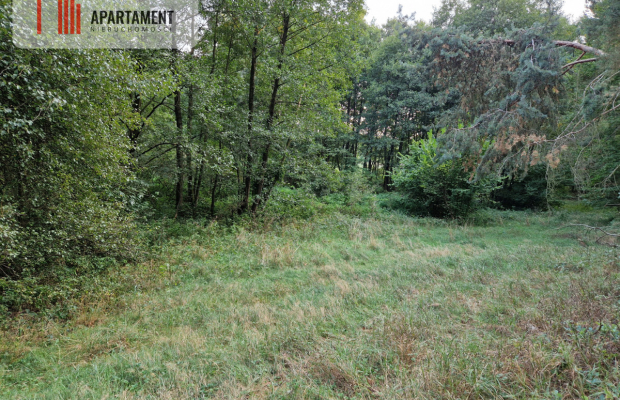 Duża działka przy lesie bez sąsiedztwa