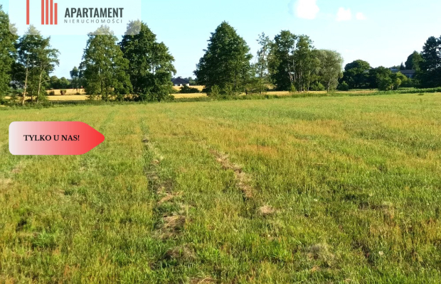 Mochle 1000m2 działka z WZ media