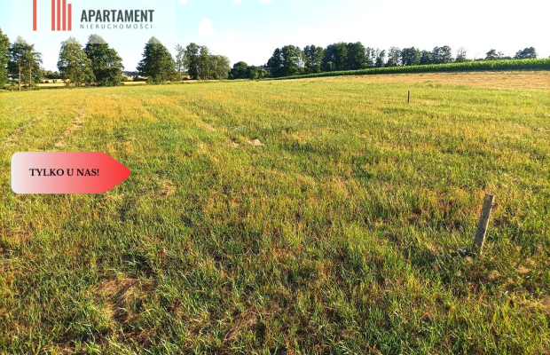 Mochle 1000m2 działka z WZ media