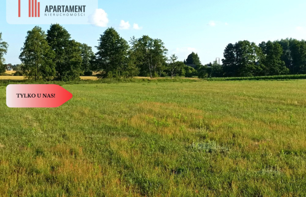 Mochle 1000m2 działka z WZ media