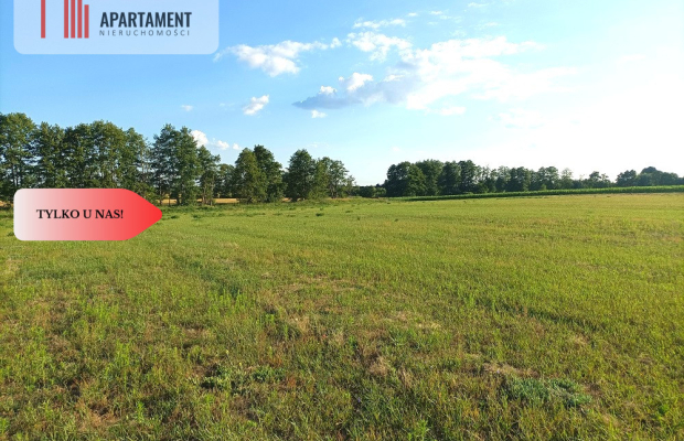 Mochle 1000m2 działka z WZ media