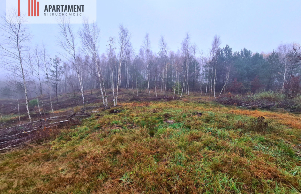 OKAZJA! Działki w Cichej i Spokojnej Okolicy!!
