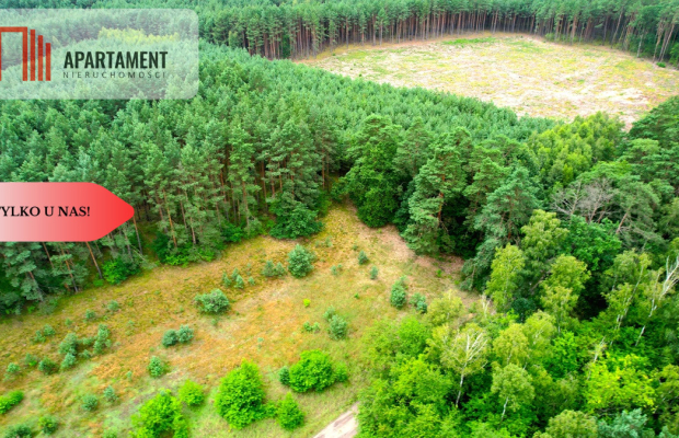 Cegielnik działka 1356m2 ze ścianą lasu