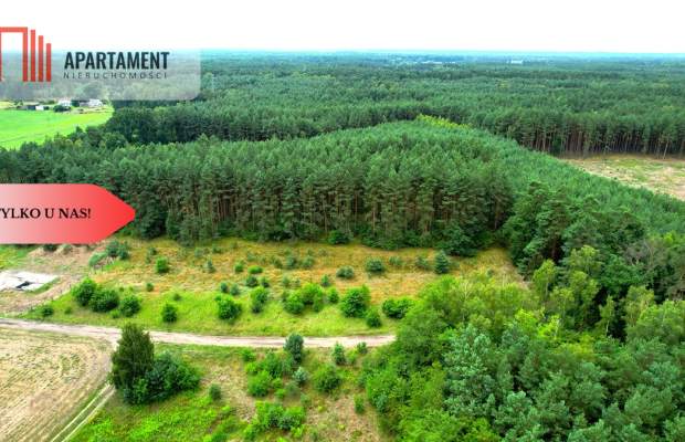 Cegielnik działka 1356m2 ze ścianą lasu