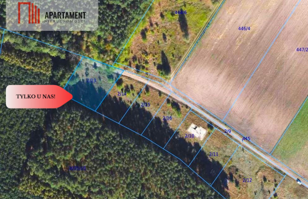 Cegielnik działka 1356m2 ze ścianą lasu