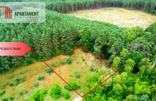 Cegielnik działka 1356m2 ze ścianą lasu