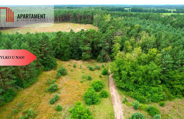 Cegielnik działka 1356m2 ze ścianą lasu