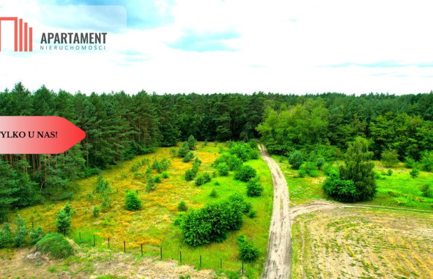 Cegielnik działka 1356m2 ze ścianą lasu