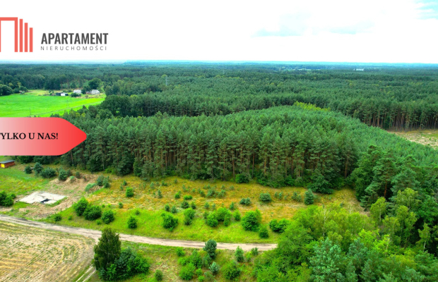 Cegielnik działka 1356m2 ze ścianą lasu