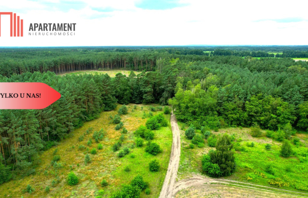 Cegielnik działka 1356m2 ze ścianą lasu