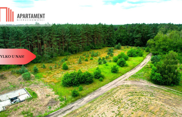 Cegielnik działka 1356m2 ze ścianą lasu